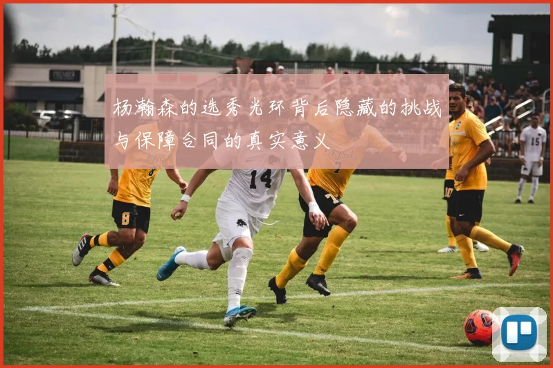杨瀚森的选秀光环背后隐藏的挑战与保障合同的真实意义