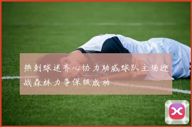 热刺球迷齐心协力助威球队主场迎战森林力争保级成功