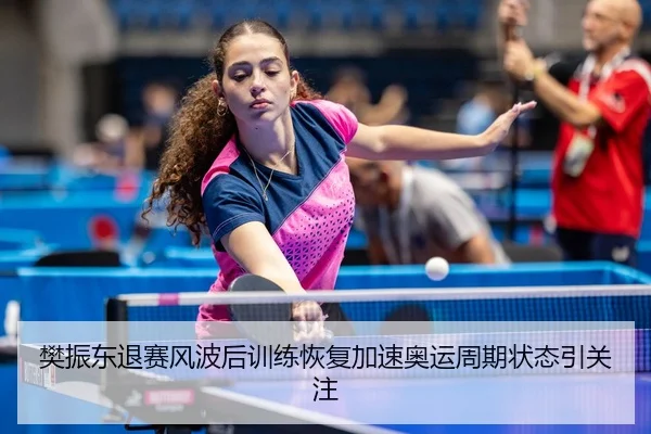 樊振东退赛风波后训练恢复加速奥运周期状态引关注